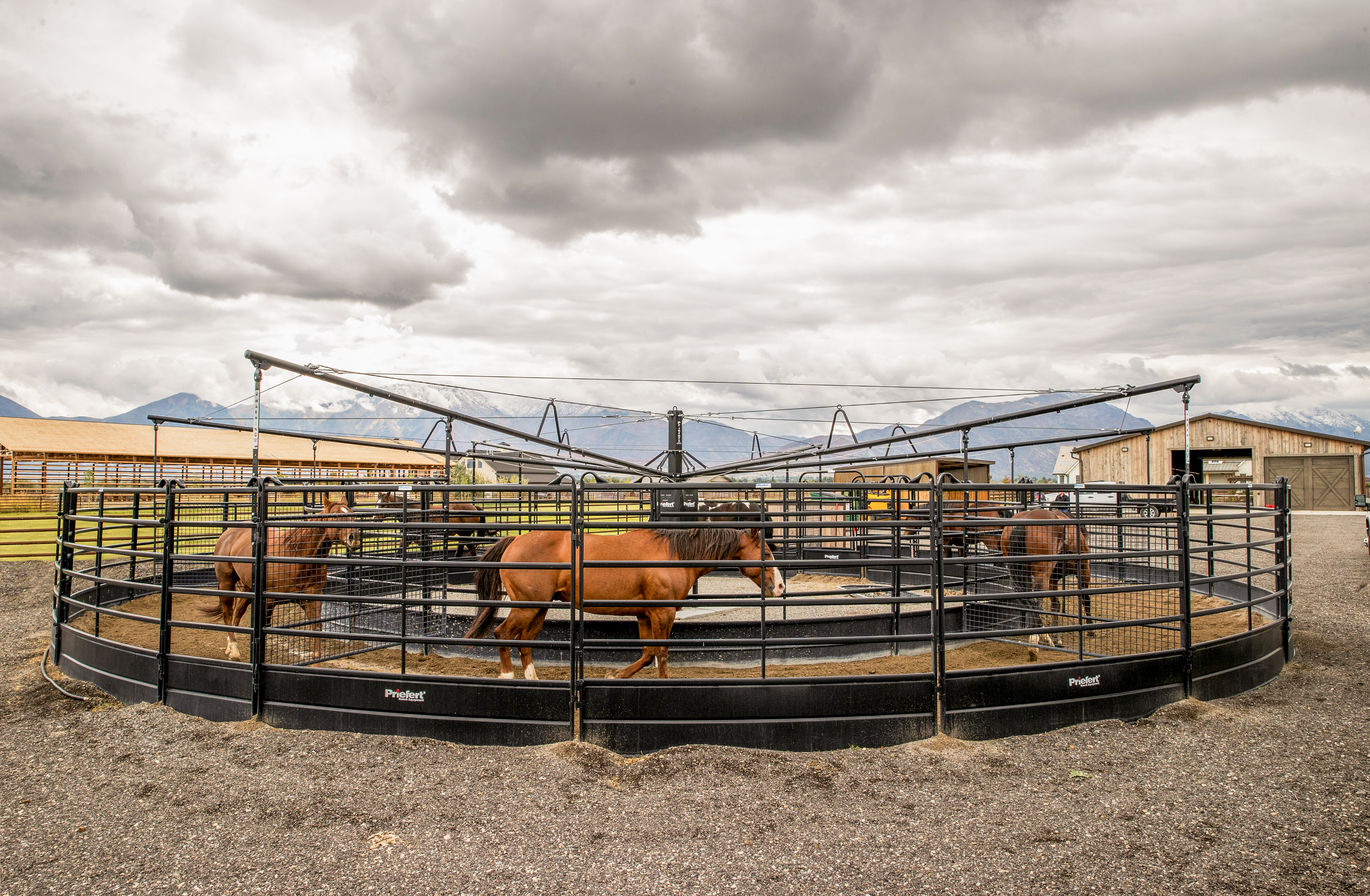 Trusted by Horsemen. Designed for Excellence.