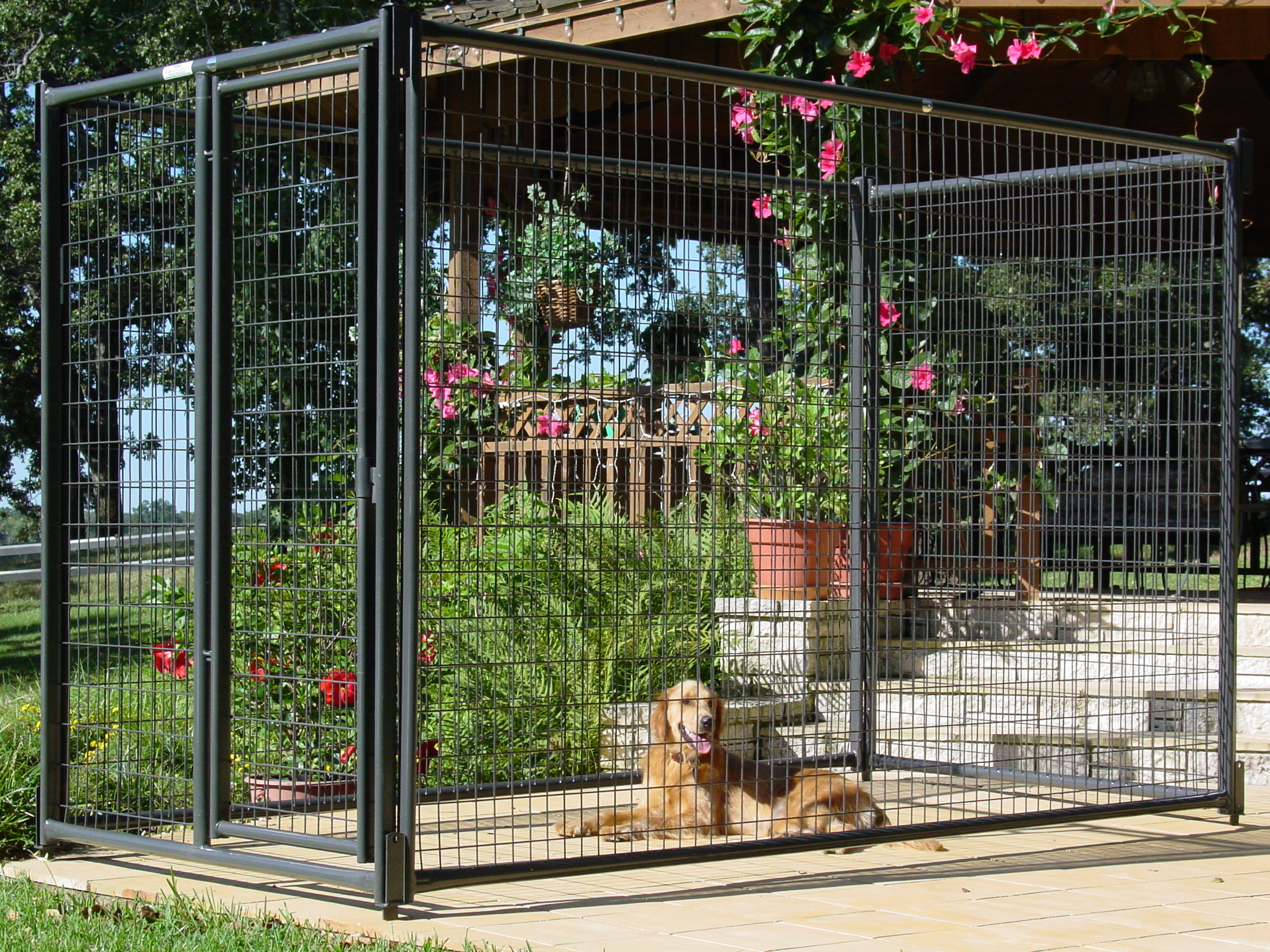 Priefert premier dog kennel