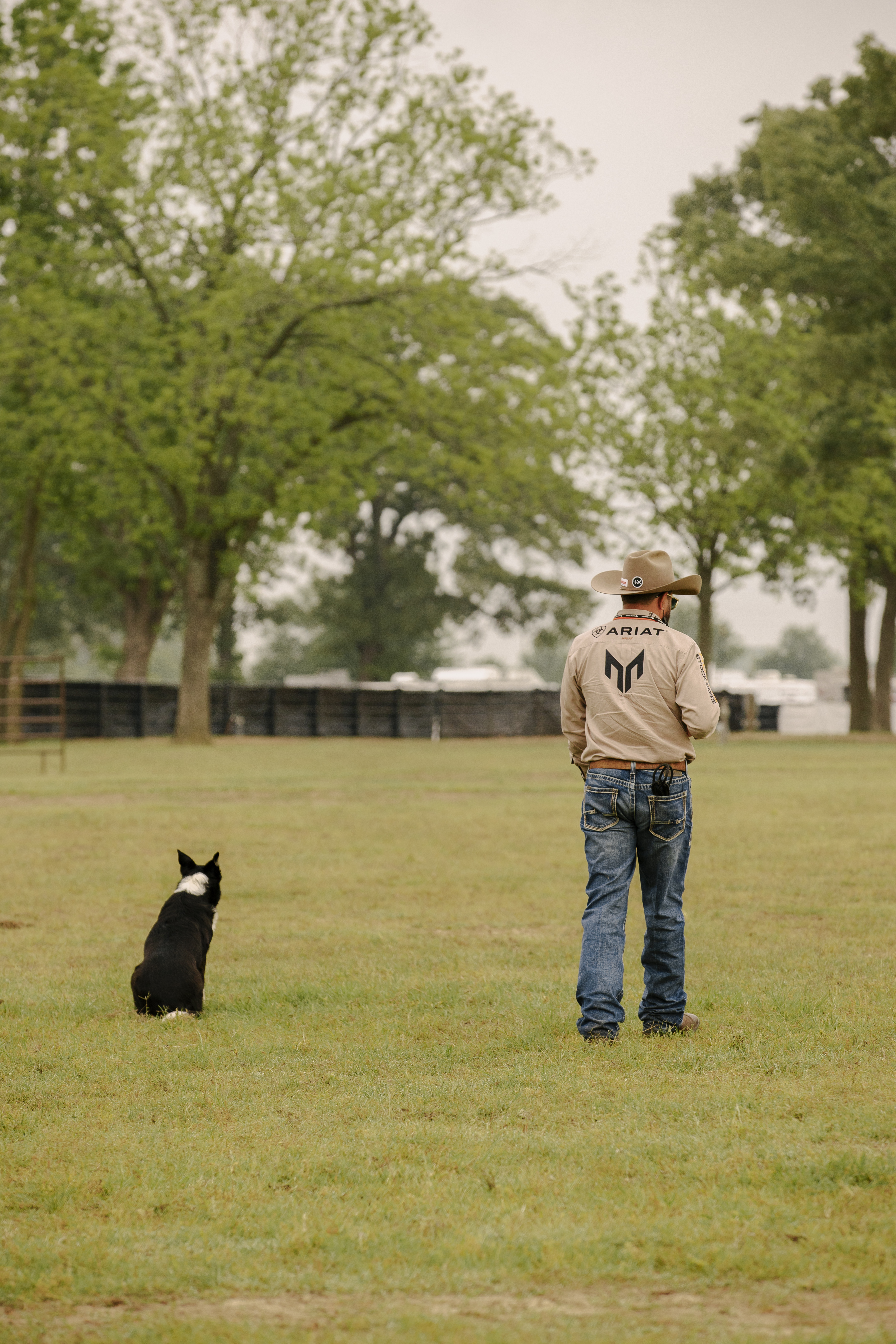 An Unwavering Commitment to Your Dog