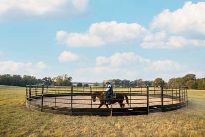 Premium Round Pens