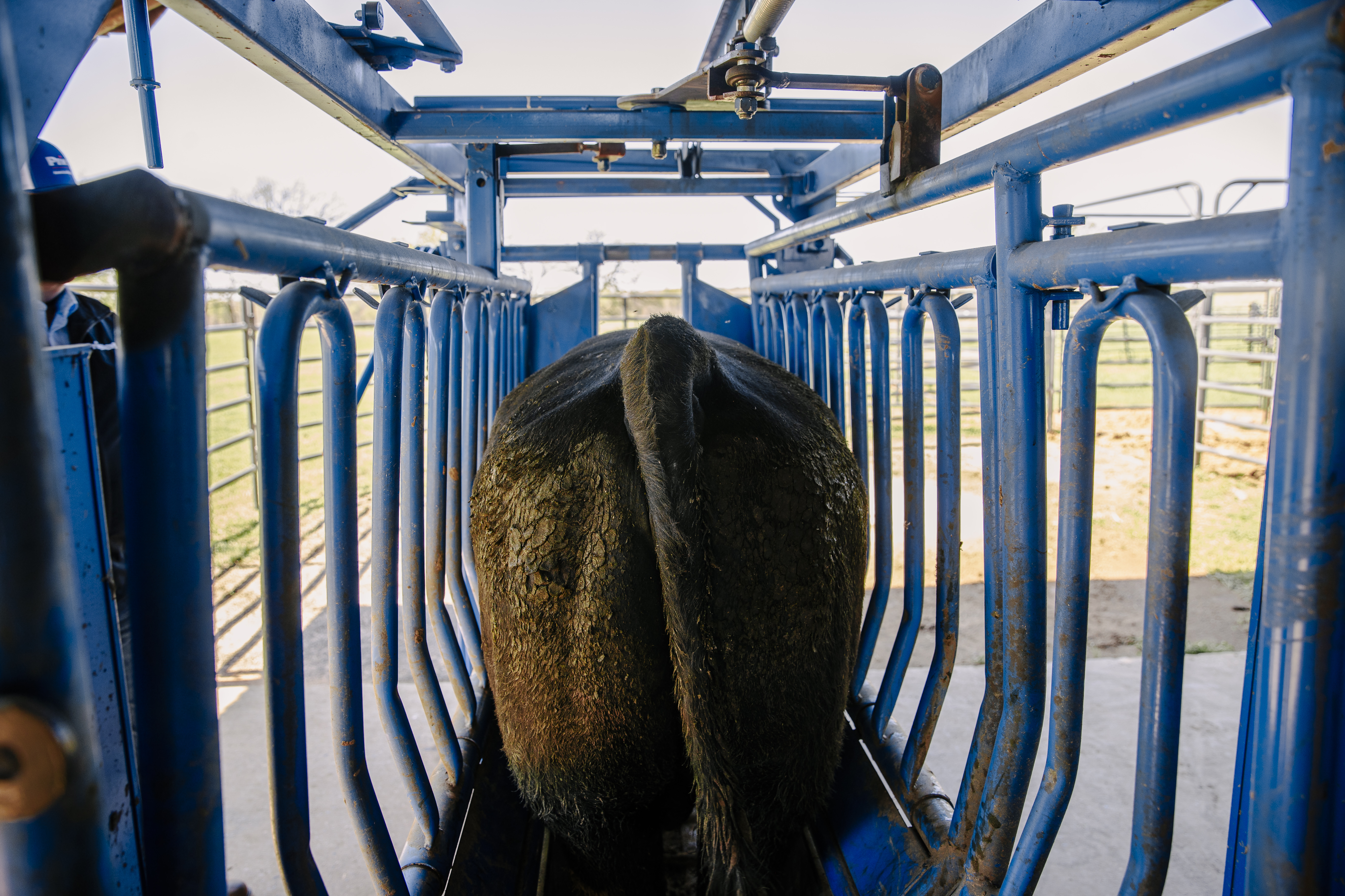Squeeze Chute – Model SC25