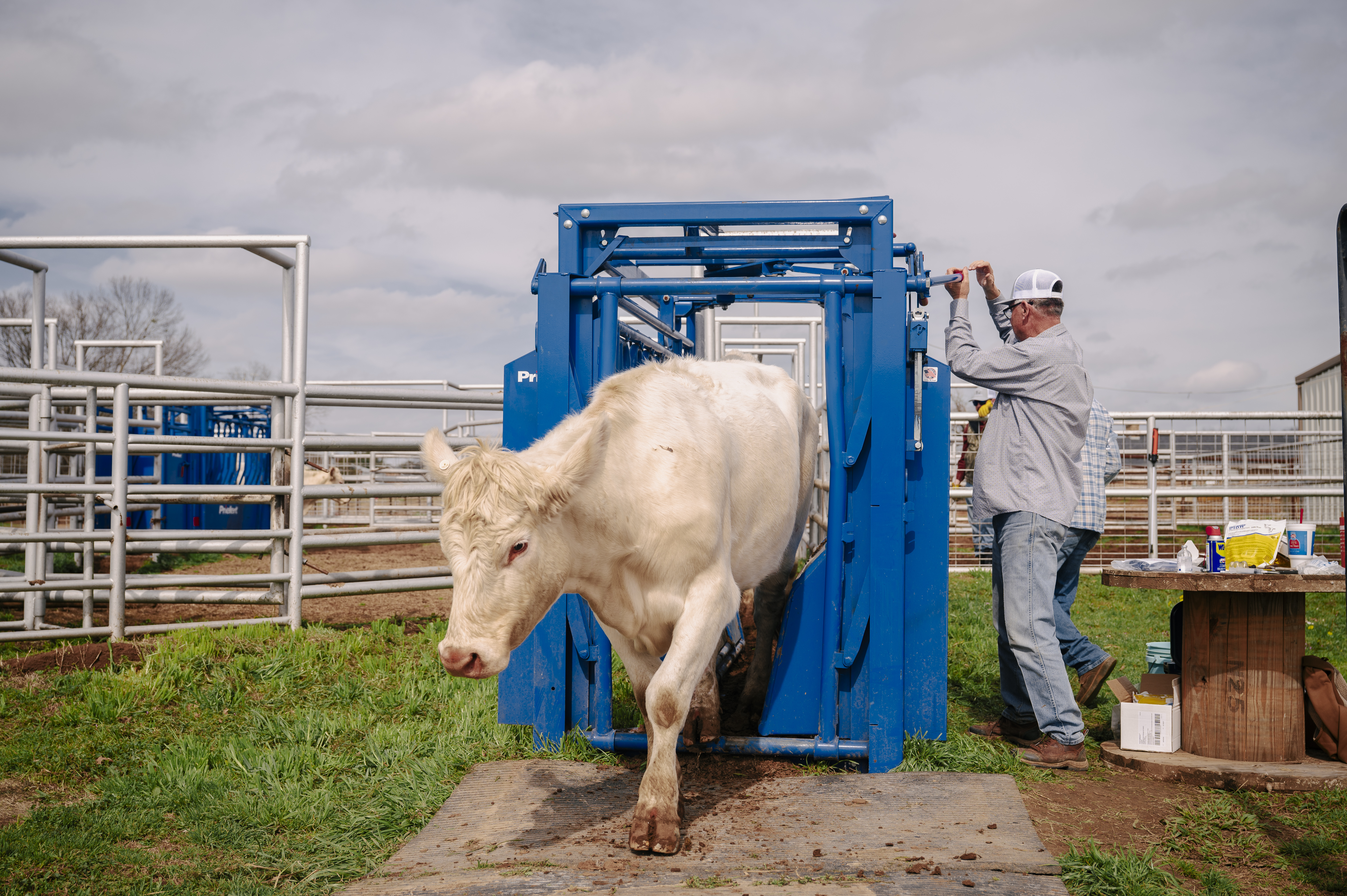Squeeze Chute – Model SC25