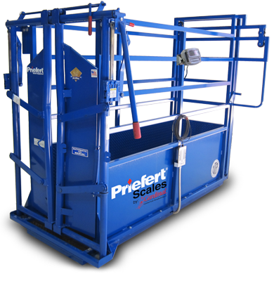 Single Animal Scale Crate with Model 91 Headgate