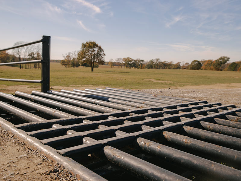 Cattle Guard Runners