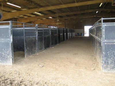 Poly Filled Expo Stall Fronts w/Horizontal Bars
