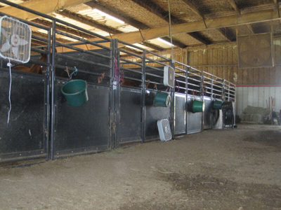 Poly Filled Expo Stall Panels w/Horizontal Bars