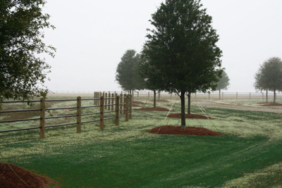 Ponderosa Fence
