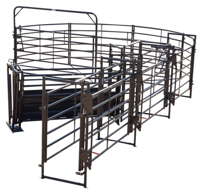 180 Degree Sweep w/ 24' Adj Alley & Calf Sort Alley