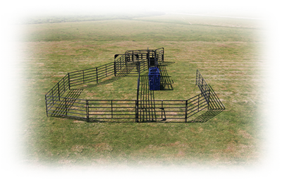 Rough Stock Open Corral System - 35 Head